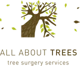 All About Trees