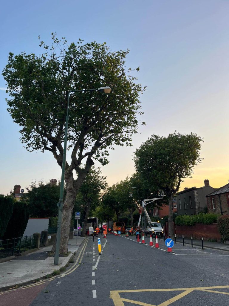 Work being done on road