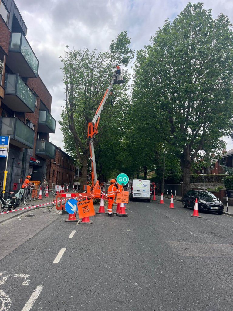 Stop and go lights on road